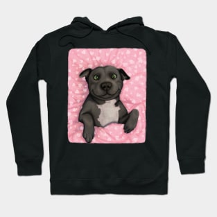 Grey pittie Valentine - illustrated dog portrait Hoodie